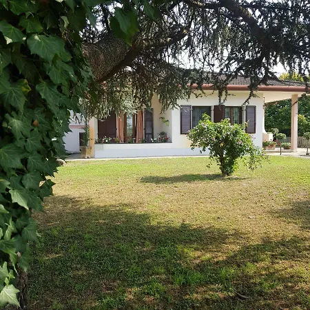 Cedro Argentato 莱尼亚戈