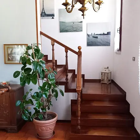 Cedro Argentato Country house *