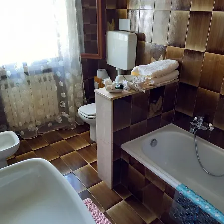 Cedro Argentato * Legnago