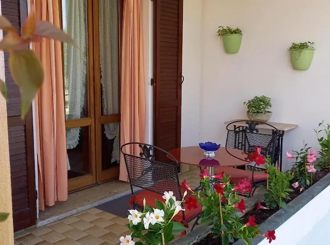 Cedro Argentato Lantställe *