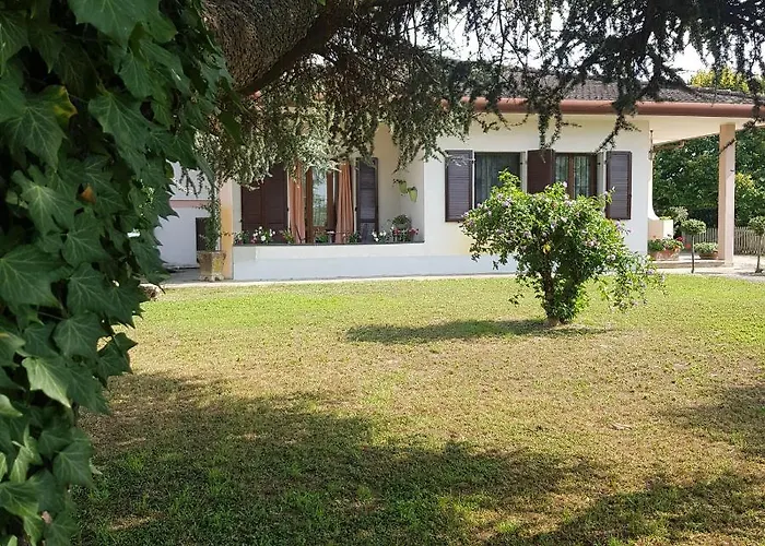 Cedro Argentato Legnago