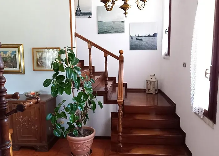 Cedro Argentato Venkovský dům *