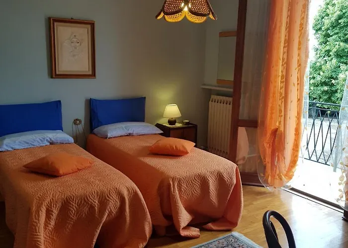 Cedro Argentato * Legnago